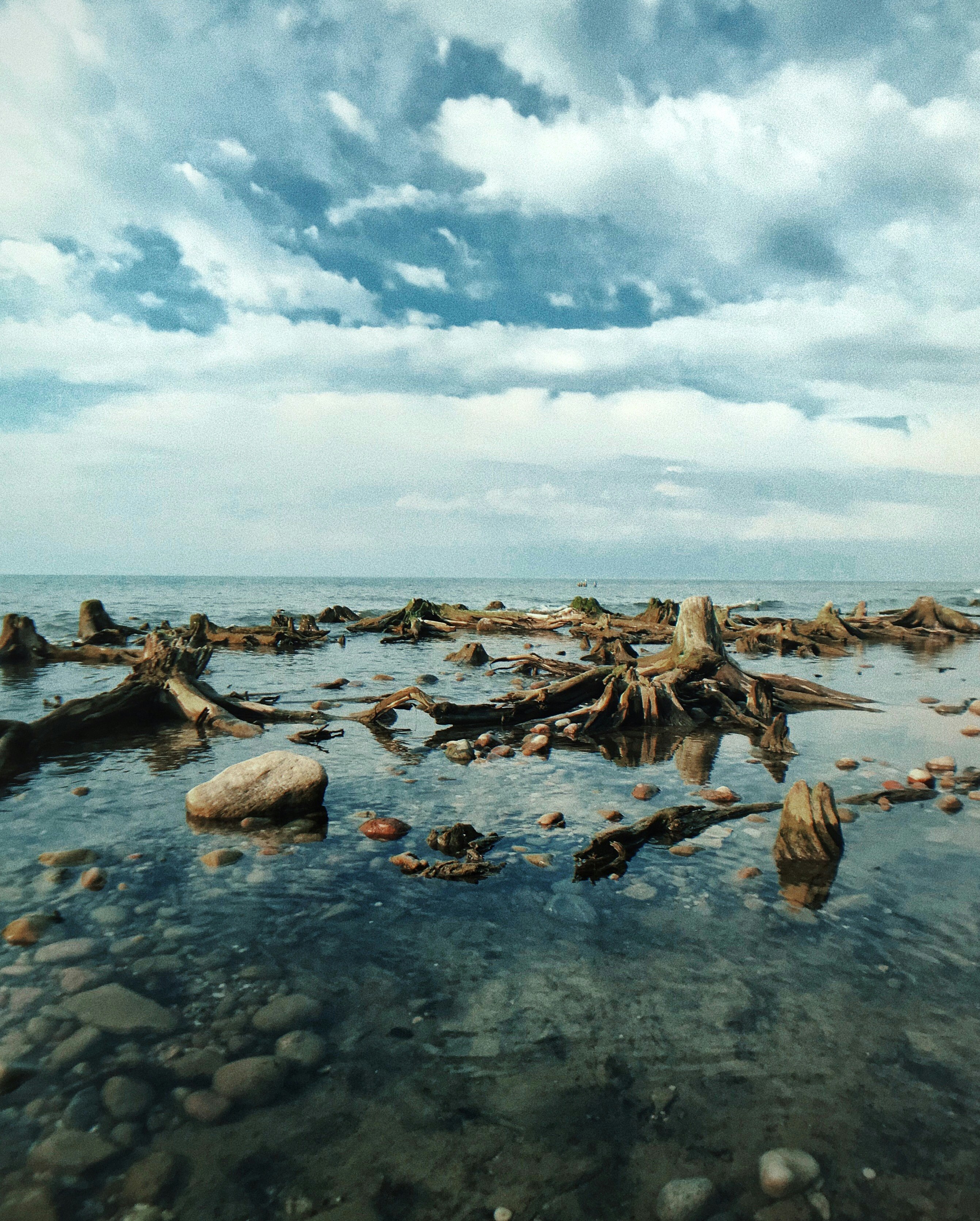 beach during daytime